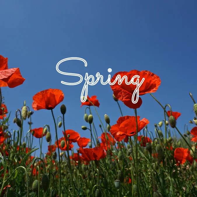 Spring