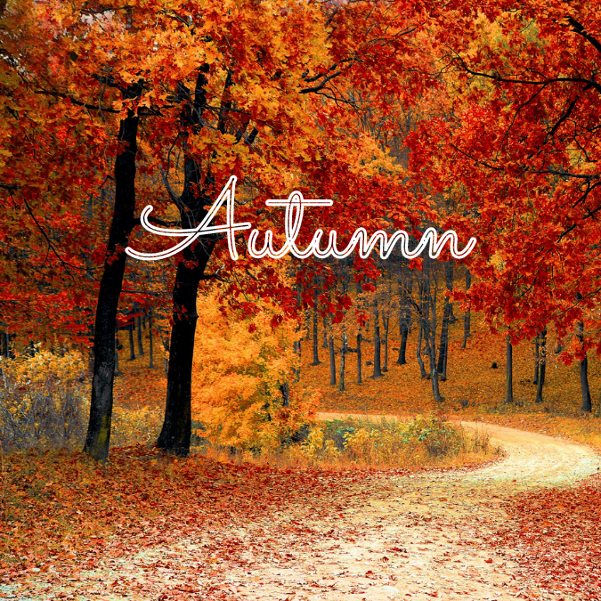 Autumn season