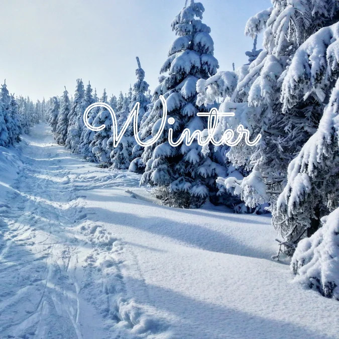 Winter