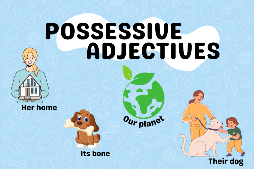 Possessive Adjectives