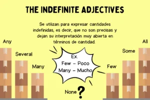 Indefinite Adjectives