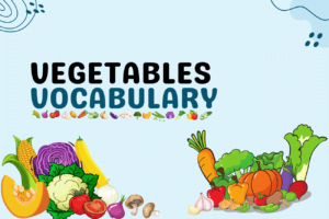 Vegetables vocabulary